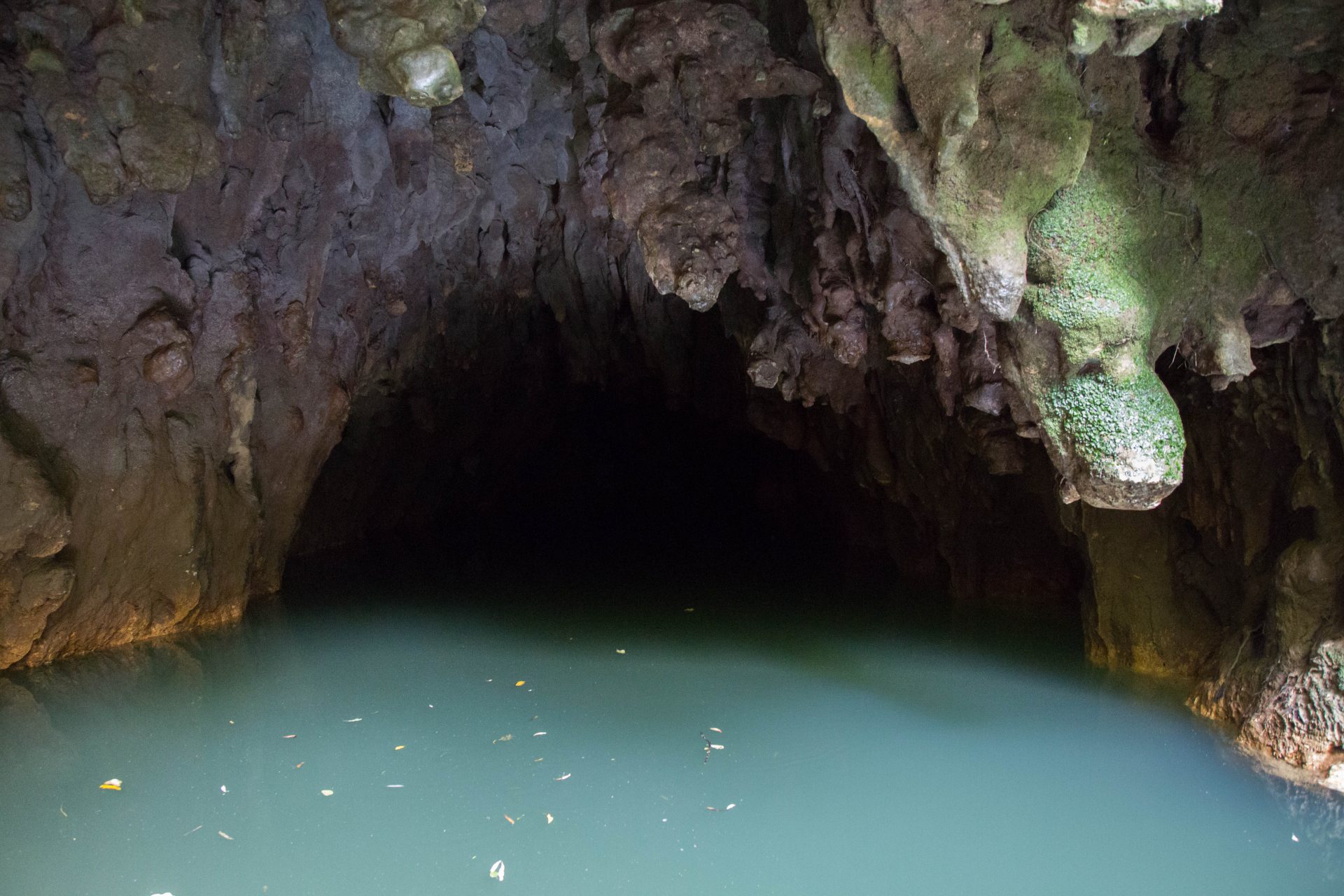 Waitomo Glowworm Caves, original entrance used by first discoverers in 1887